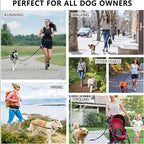 Hands Free Pet Walking And Training Belt