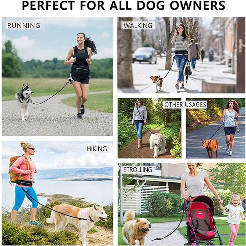 Hands Free Pet Walking And Training Belt