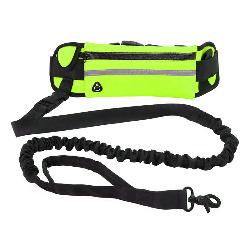 Hands Free Pet Walking And Training Belt