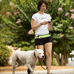 Hands Free Pet Walking And Training Belt