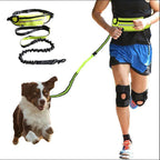 Hands Free Pet Walking And Training Belt