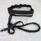 Hands Free Pet Walking And Training Belt
