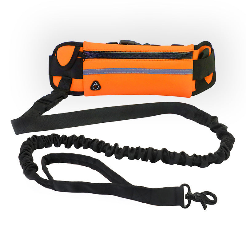Hands Free Pet Walking And Training Belt