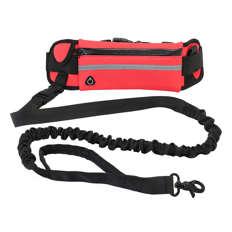 Hands Free Pet Walking And Training Belt